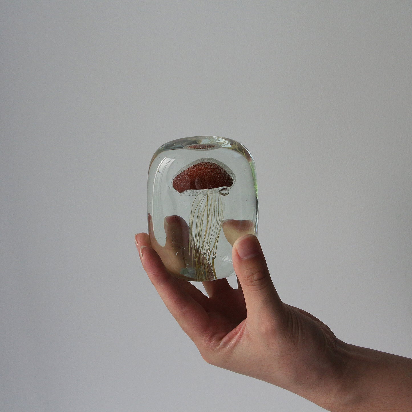 Jellyfish Paper Weight Square クラゲのペーパーウェイト "スクエア"